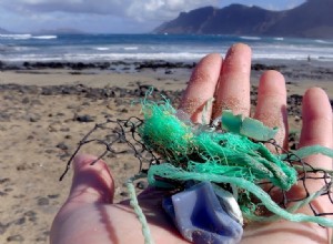 Recette de soupe plastique 