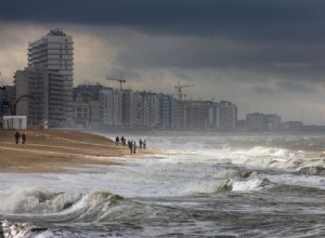 KMI recherche des observateurs de tempête 