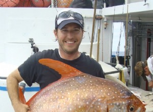 Découverte du premier poisson à sang chaud 