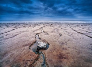 De moins en moins de poissons nagent dans la mer des Wadden 