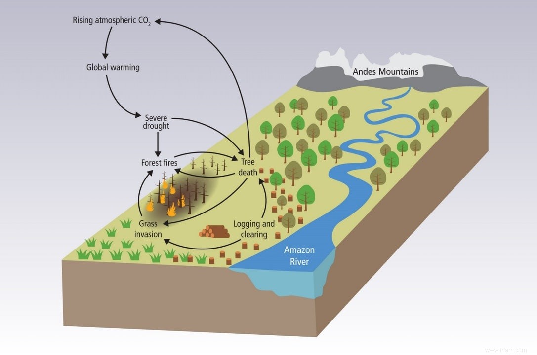 Au-delà du point de bascule - les risques majeurs du changement climatique 