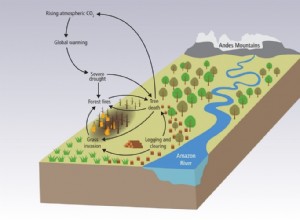 Au-delà du point de bascule - les risques majeurs du changement climatique 