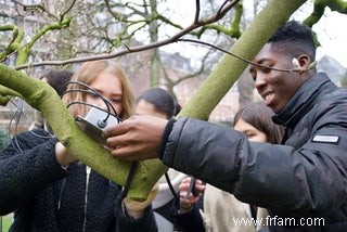 Jumelles à portée de main ! Le week-end du comptage des oiseaux est de retour 