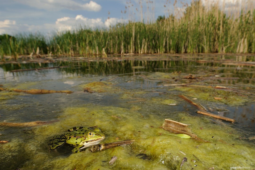 Les lacs se réchauffent rapidement 