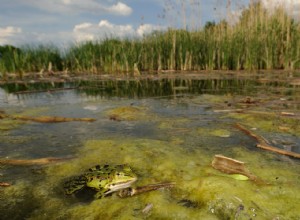 Les lacs se réchauffent rapidement 