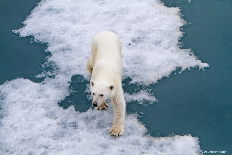 Cinq choses sur lesquelles les climatologues ne sont pas d accord 