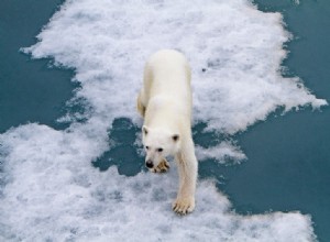 Cinq choses sur lesquelles les climatologues ne sont pas d accord 