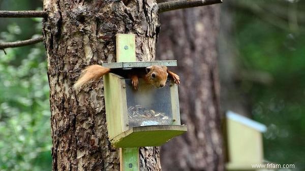 Les photos d animaux les plus drôles récompensées 