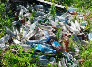 Les bactéries mangeuses de plastique résolvent-elles notre problème de déchets ? 