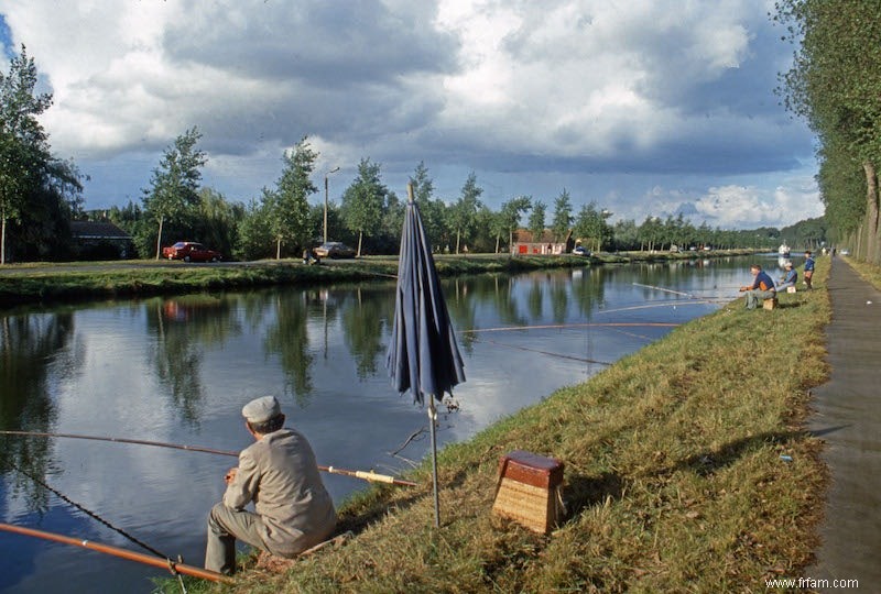 Plus de poissons dans les eaux flamandes 