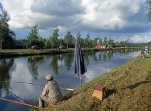 Plus de poissons dans les eaux flamandes 