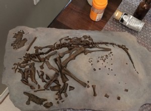 Les dinosaures ont longtemps couvé leurs œufs 