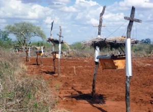 Les abeilles effraient les éléphants 