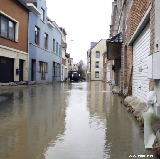 Béton flamand :l éponge dessus 