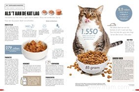 Voici comment votre chat mange durablement 