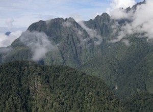 Les montagnes stimulent la spéciation 