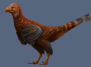 Un dinosaure ressemblant à un oiseau avait des plumes  modernes  