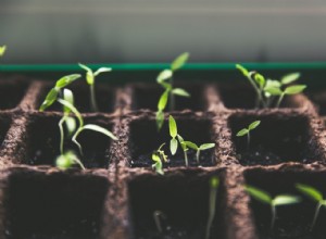 Le «cerveau végétal» contrôle la germination 