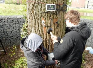 Arbre hollandais tweet sur le changement climatique 