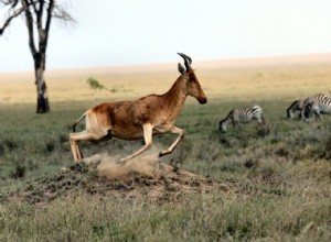 Limite de vitesse naturelle 