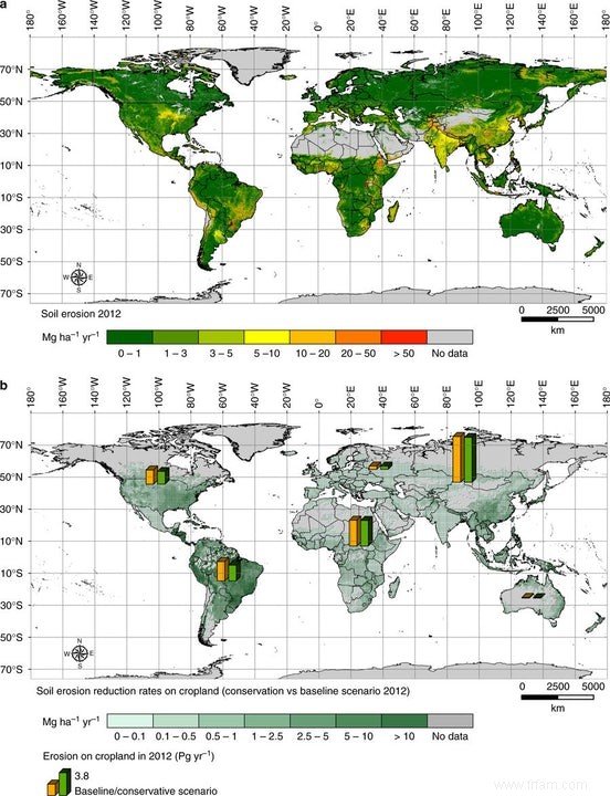 36 milliards de tonnes de sol perdu par an à cause des précipitations et de la déforestation 