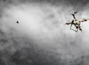 Les drones reçoivent des leçons de pilotage d abeilles et de perruches 