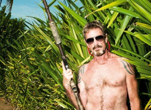 FILM - Gringo :La vie dangereuse de John McAfee 