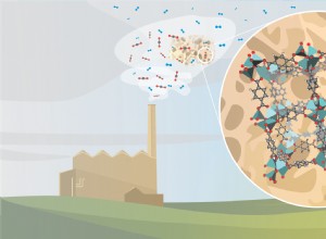 Gaz à effet de serre :l éponge dessus ? 