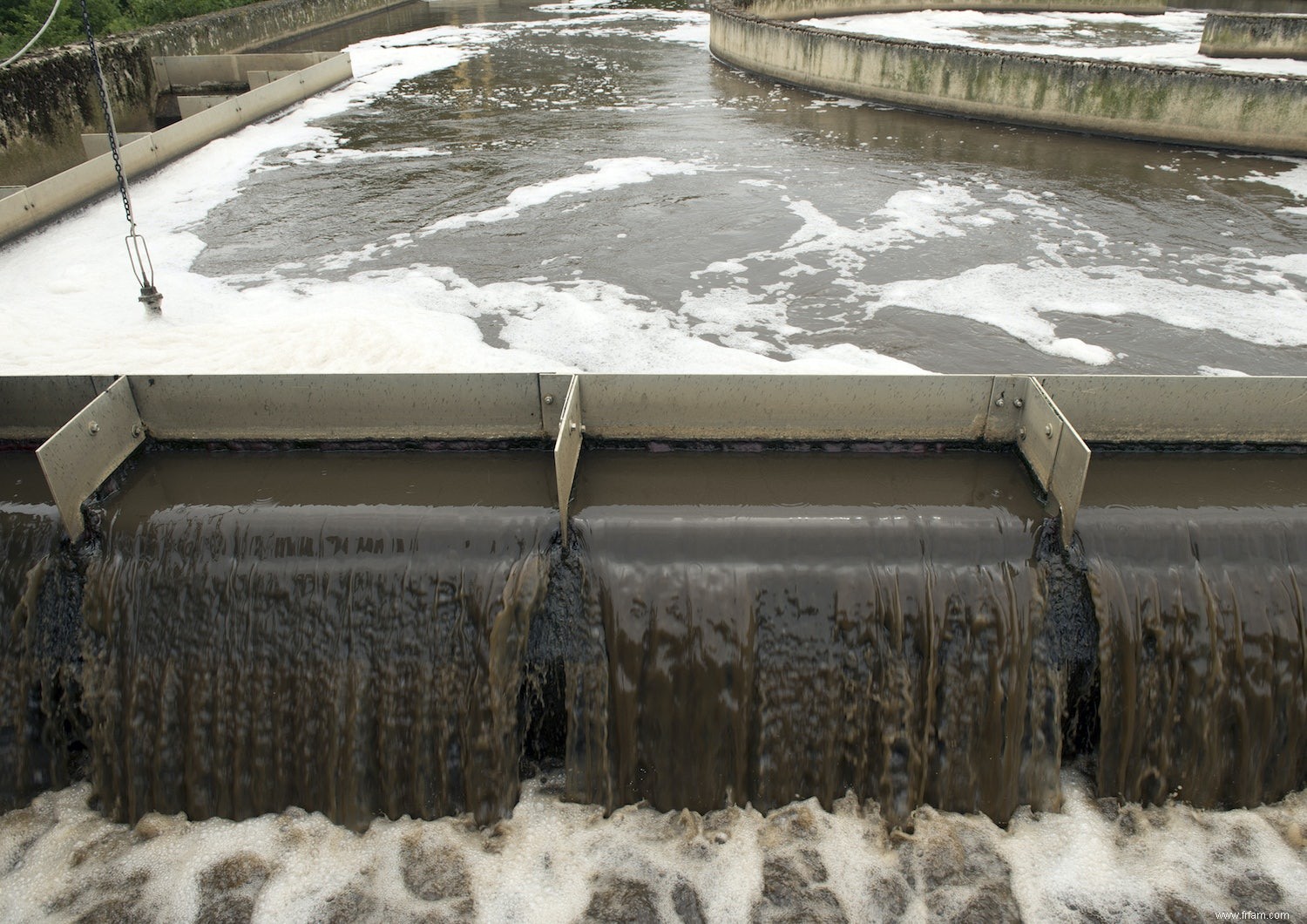 Nos eaux usées contiennent des trésors cachés. Comment le sortez-vous? 