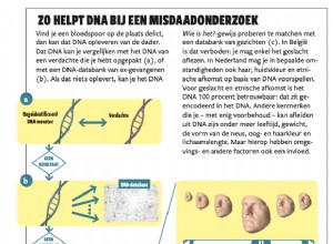 L ADN donne un visage à un criminel inconnu 