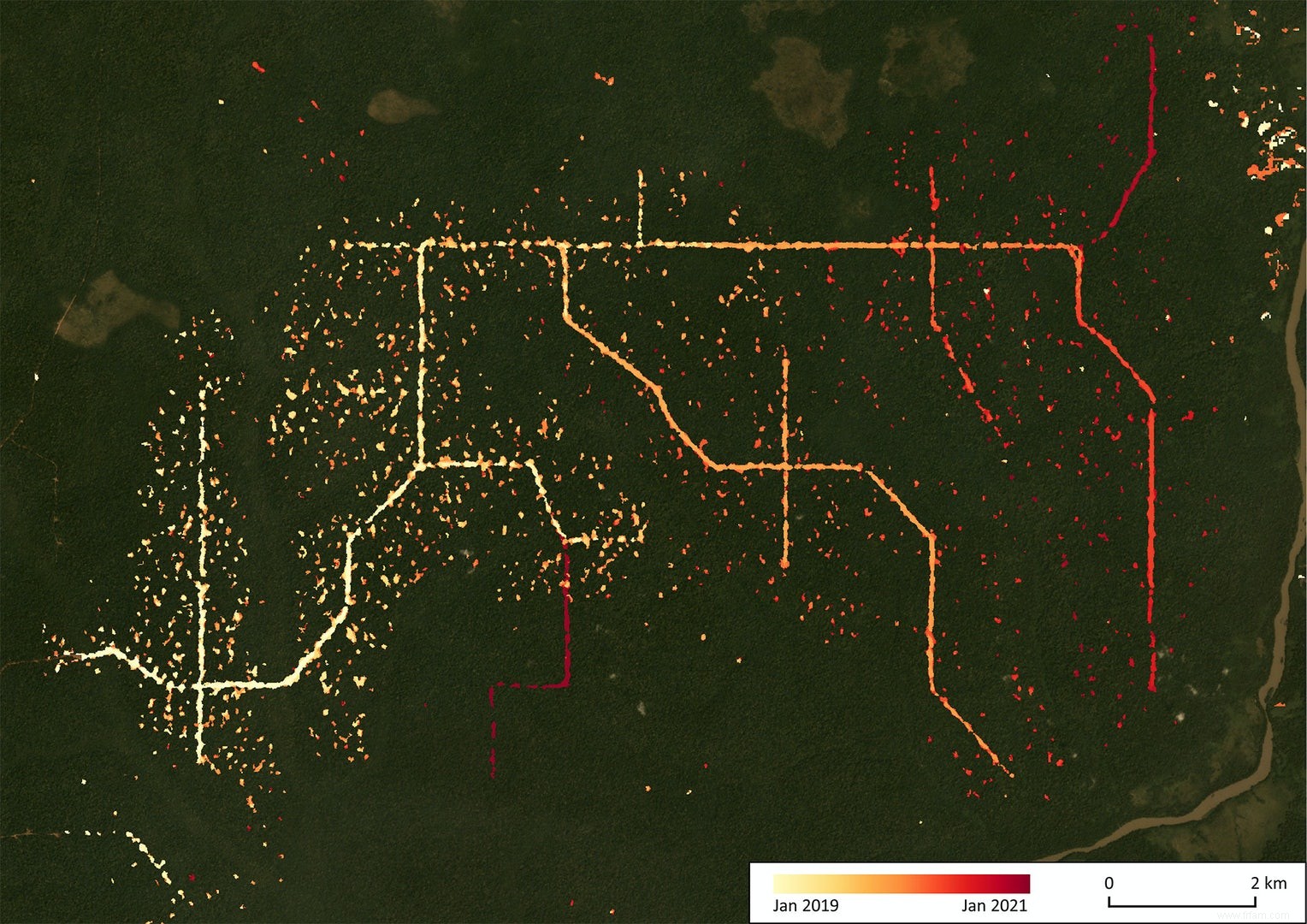 Un système radar révèle l exploitation forestière illégale de la forêt tropicale africaine 