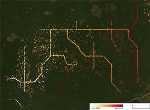 Un système radar révèle l exploitation forestière illégale de la forêt tropicale africaine 