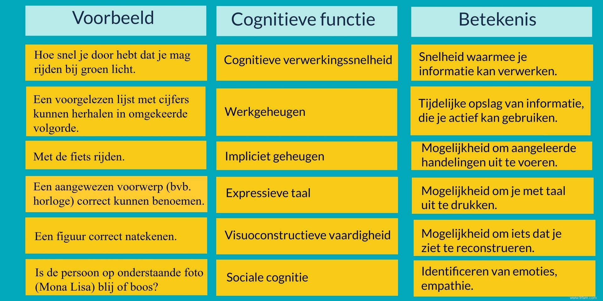 Fantasmes cérébraux :une édition sur la cognition 