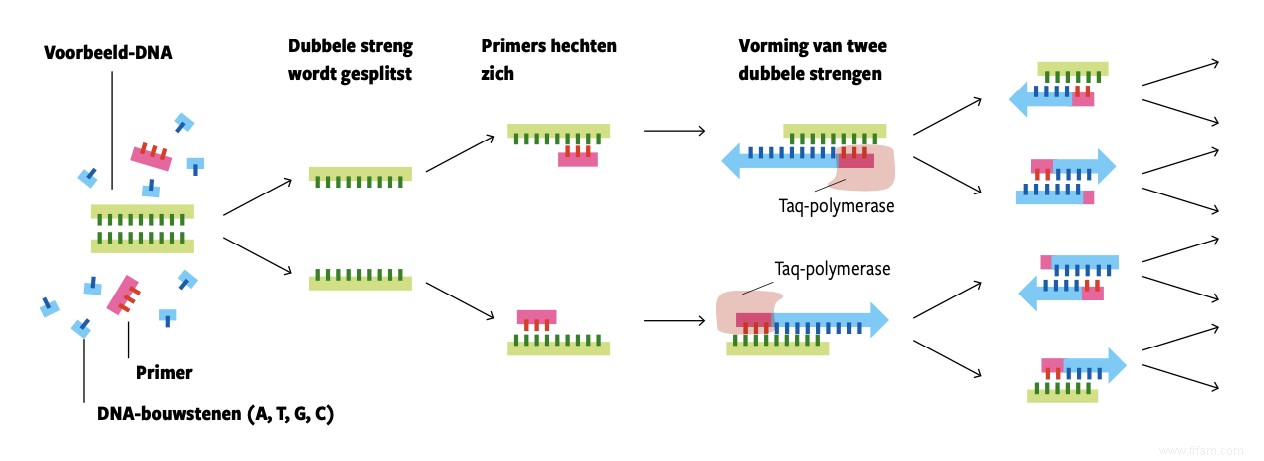 La montée en flèche du PCR 