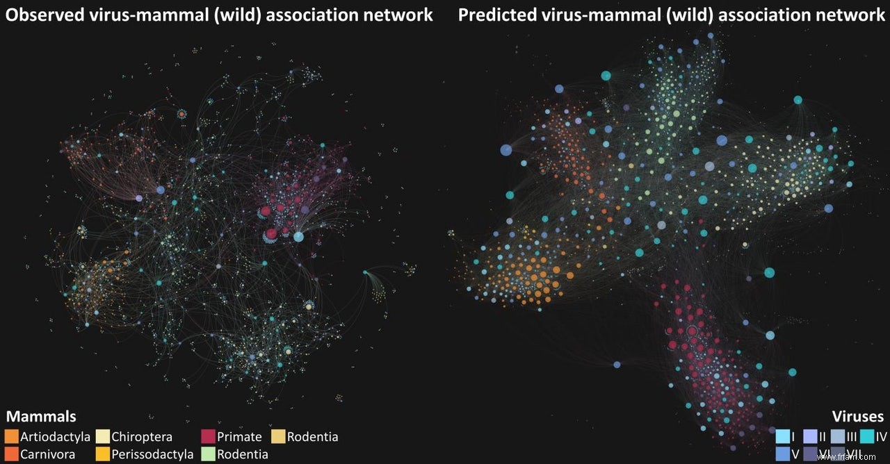 L ordinateur associe le virus aux porteurs 