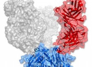 L anticorps s attaque au virus de la grippe 