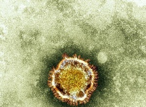 Le nouveau coronavirus peut se transmettre d une personne à l autre 