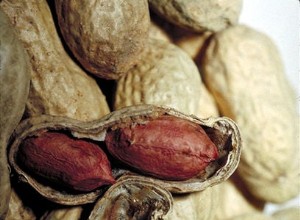 Traitement réussi de l allergie aux arachides 