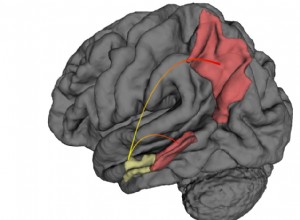 L origine de la maladie d Alzheimer en images 