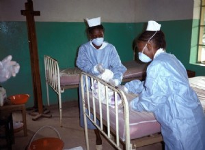 Qu est-ce qu Ebola et à quel point le virus est-il dangereux ? 