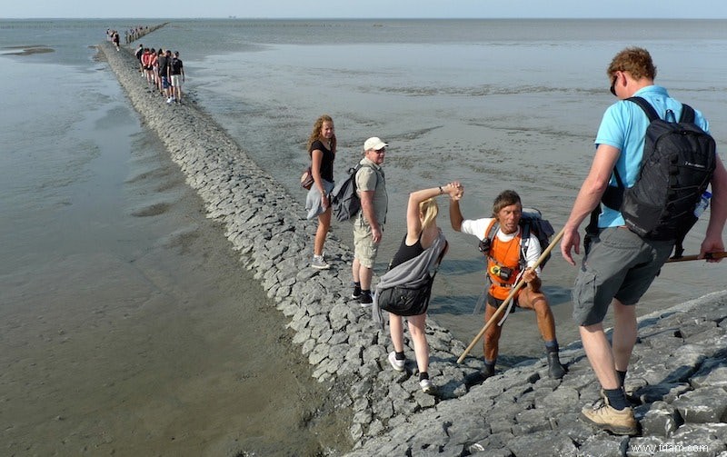 Les excursions d une journée sont saines 