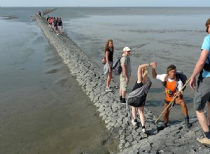 Les excursions d une journée sont saines 