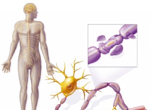 Traiter la SEP avec vos propres cellules ? 