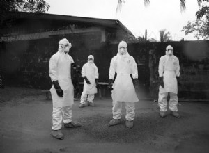 Ebola ouvre la voie au paludisme et à la rougeole 