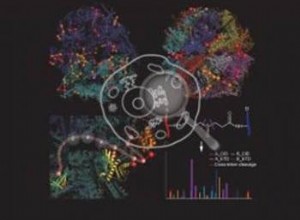 Cartographier les interactions entre les protéines dans nos cellules 