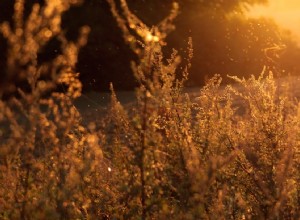 Nés en hiver, plus susceptibles de souffrir d allergies 