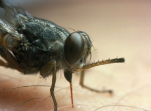 Une seule et même molécule tue trois maladies 