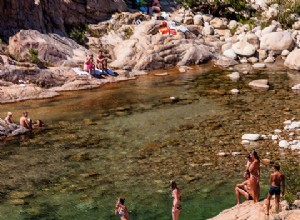 Les maladies tropicales conquièrent l Europe 