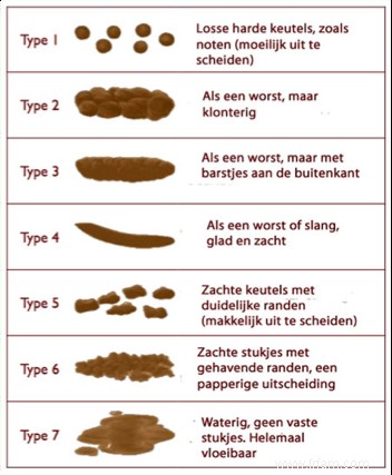 Votre caca établit la norme 