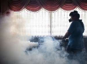 Zika peut également être contagieux par la bouche 